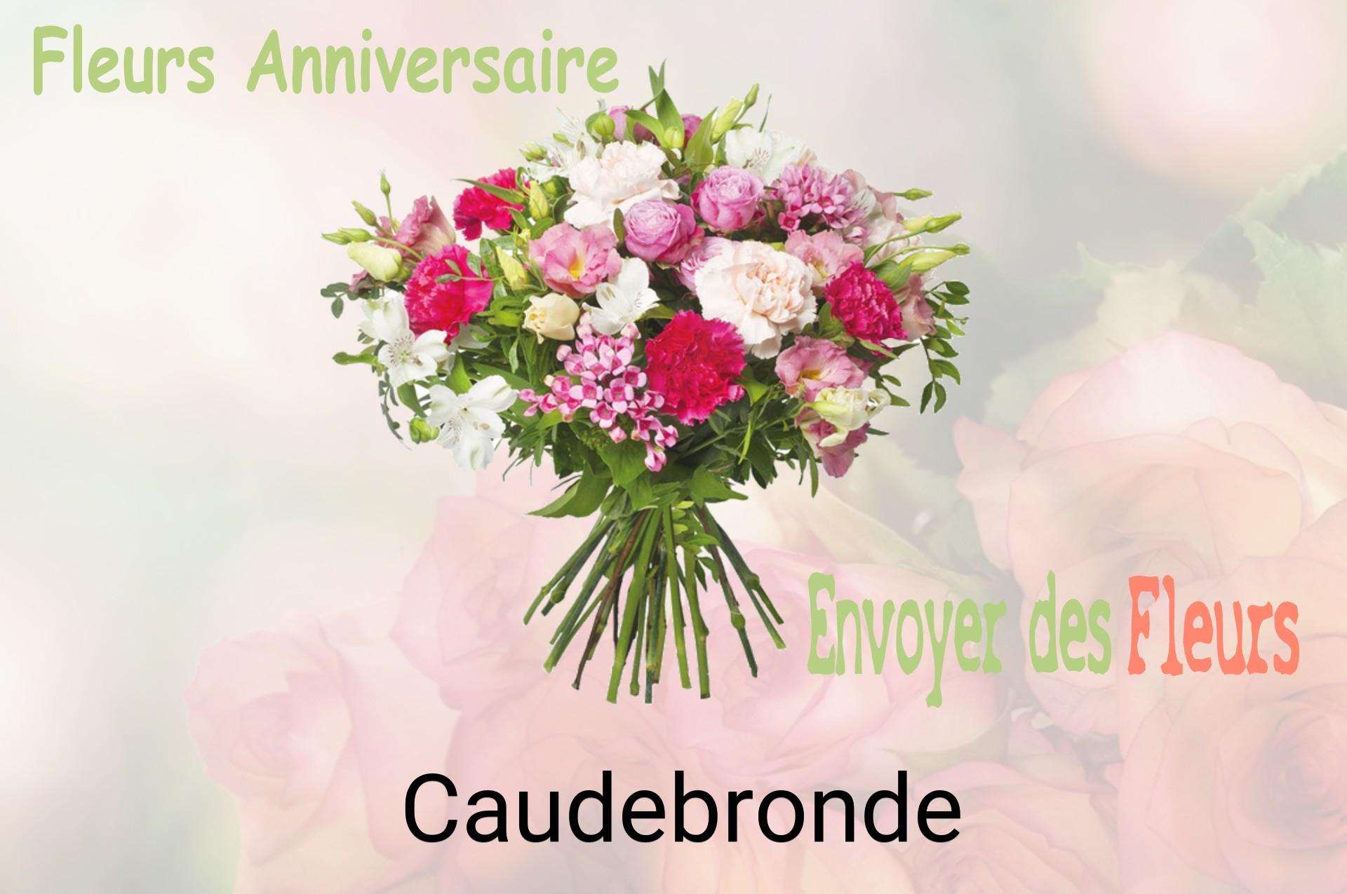 Bouquet de fleurs d’anniversaire livré à Caudebronde