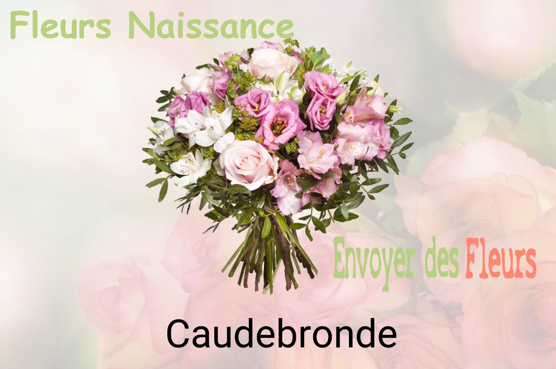 Bouquet de fleurs de naissance livré à Caudebronde