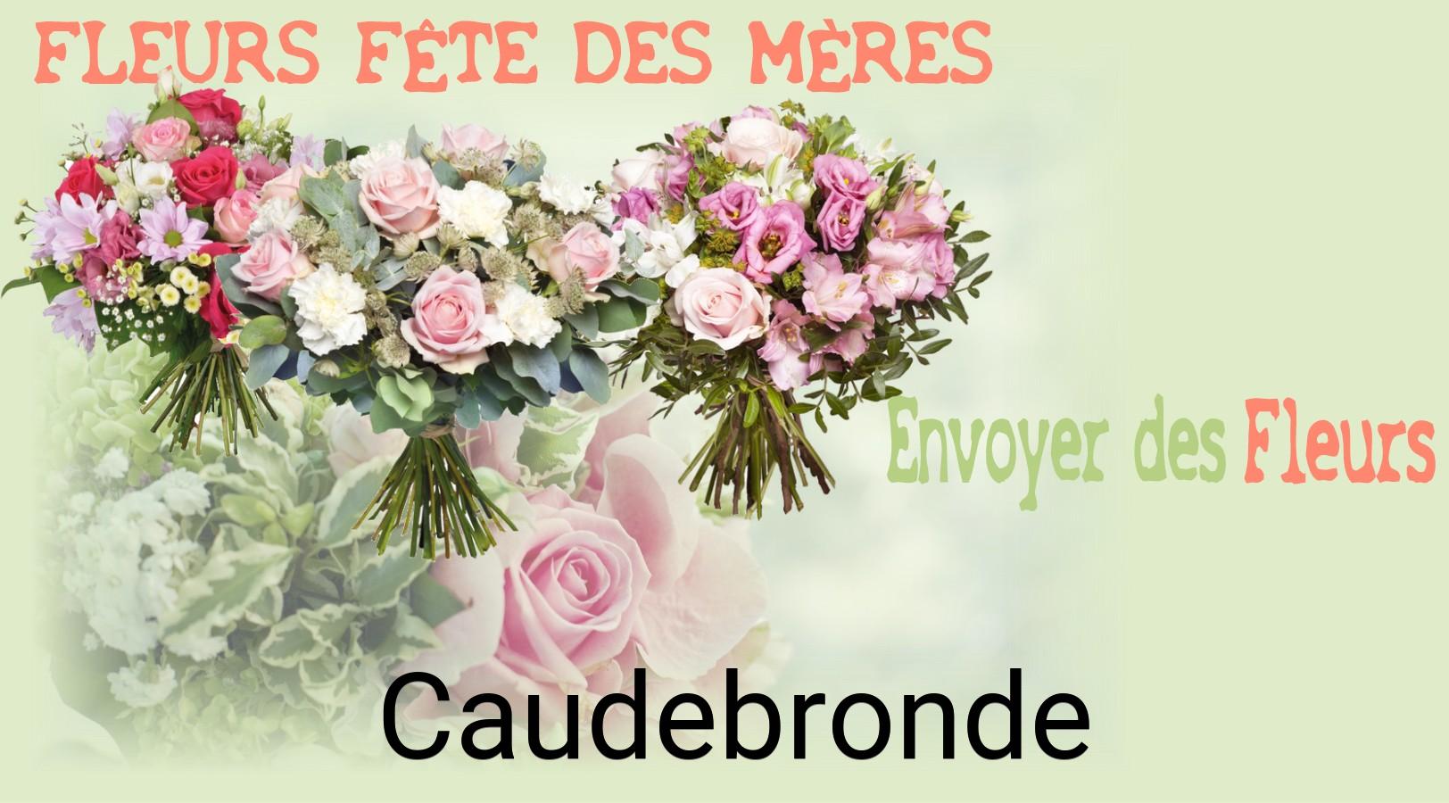 Bouquet de Fête des Mères livré à Caudebronde